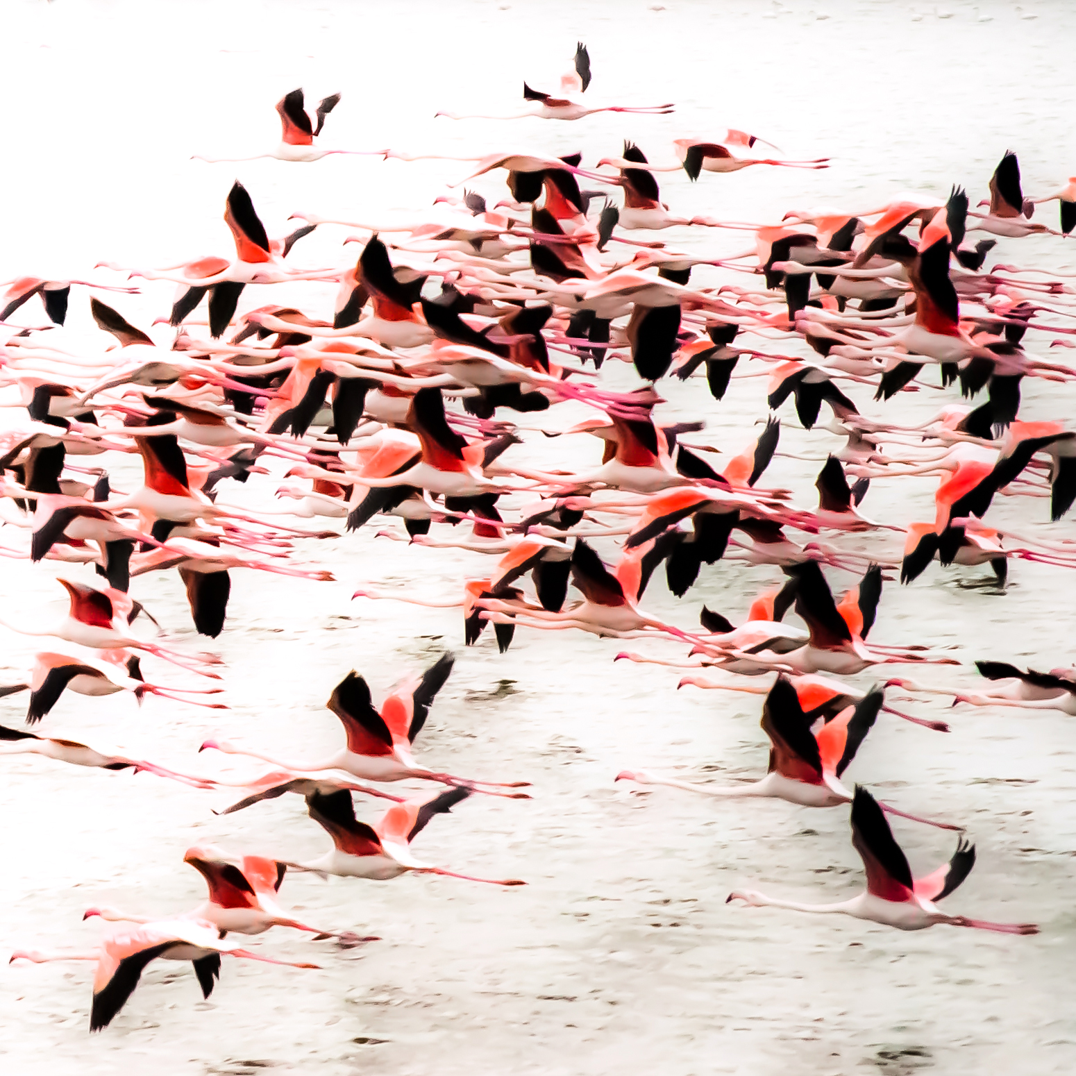 Etude: Why I Don’t Read Memoirs