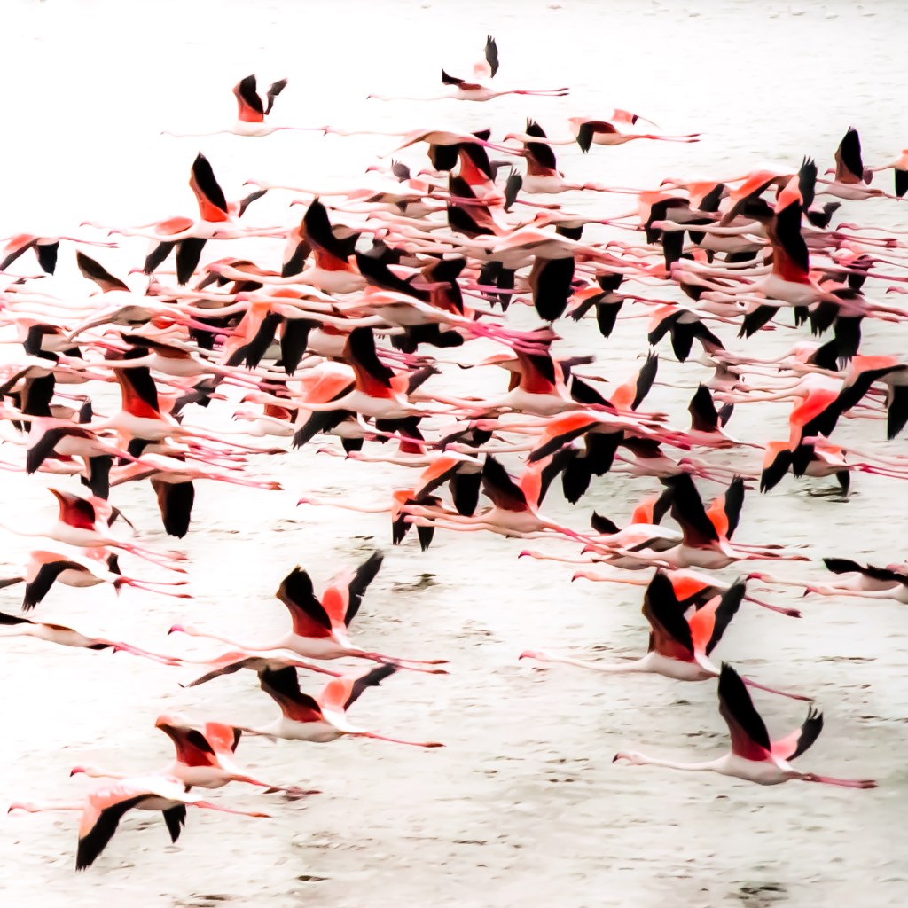 Etude: Why I Don’t Read&nbsp;Memoirs