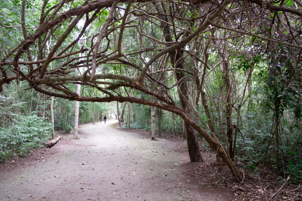 The Stucco Frieze at&nbsp;Balamkú