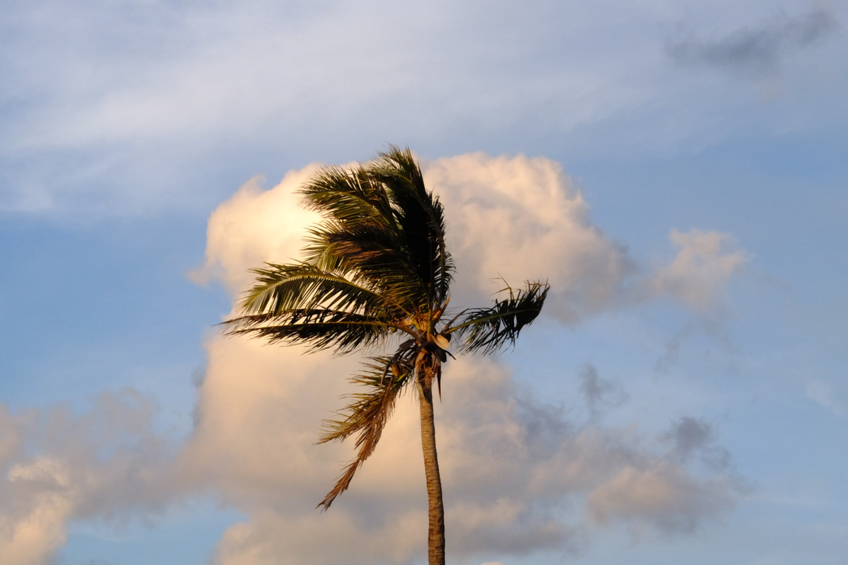 Photographic Tendencies of 2023