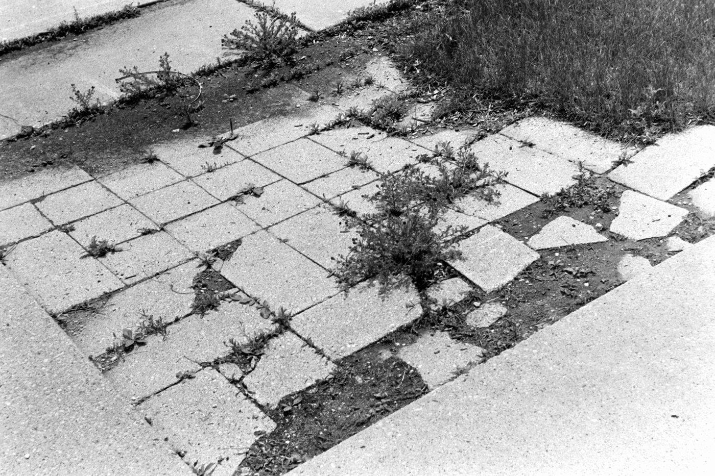 Urban Intervention No. 1 (1993)