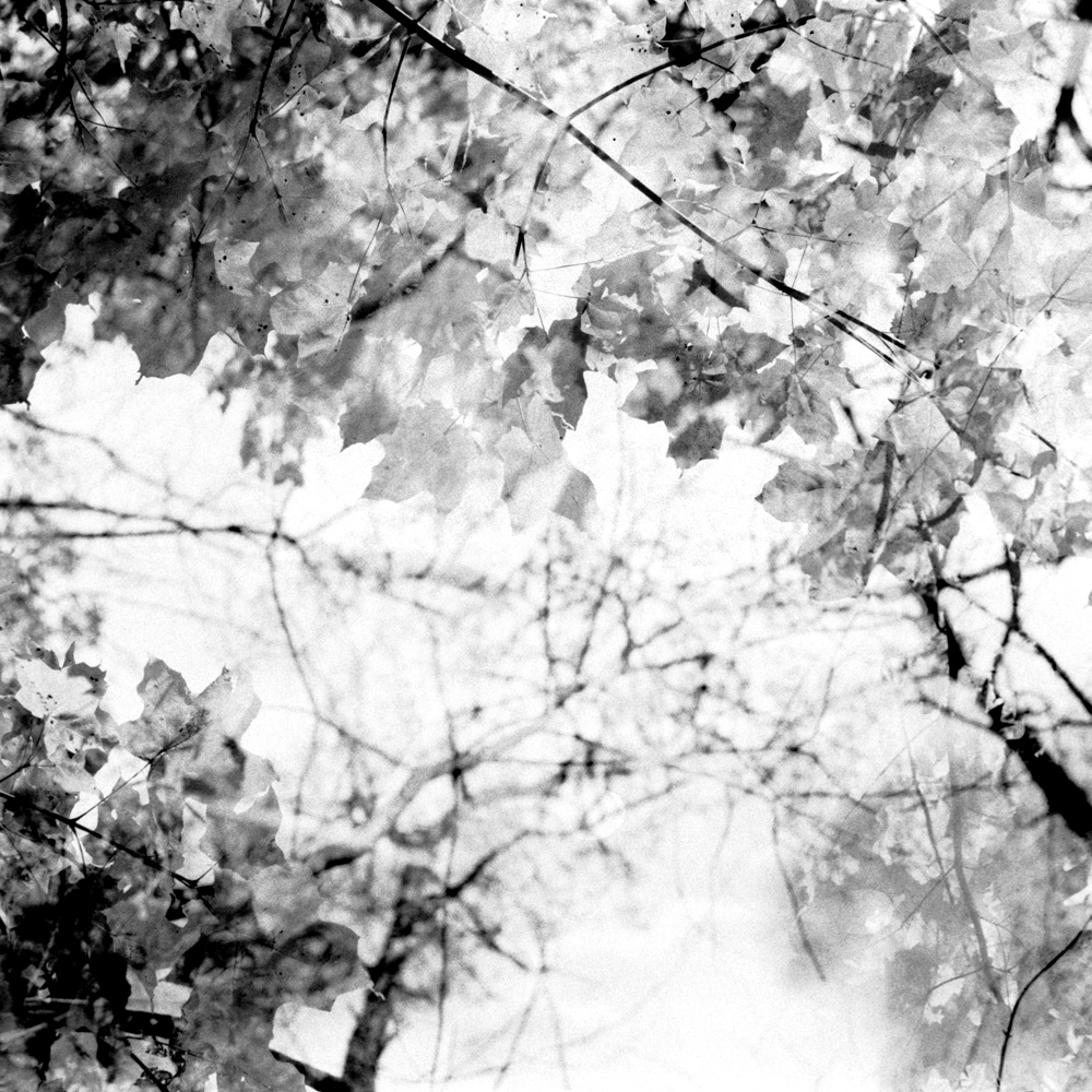 Three photos from last&nbsp;Fall