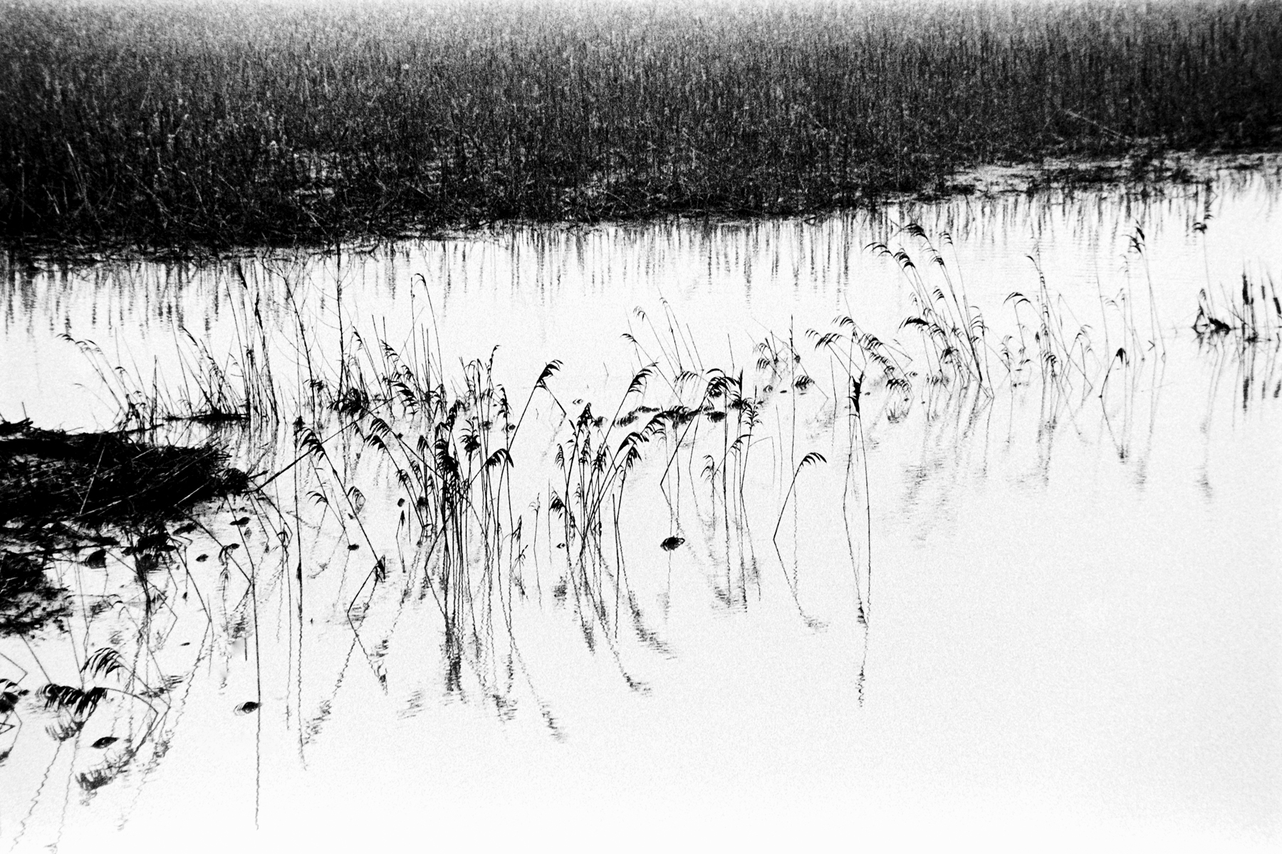 High Water